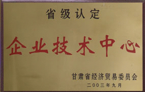 2003年公司技術(shù)中心被認(rèn)定為省級(jí)企業(yè)技術(shù)中心