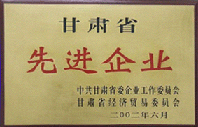 先進(jìn)企業(yè)